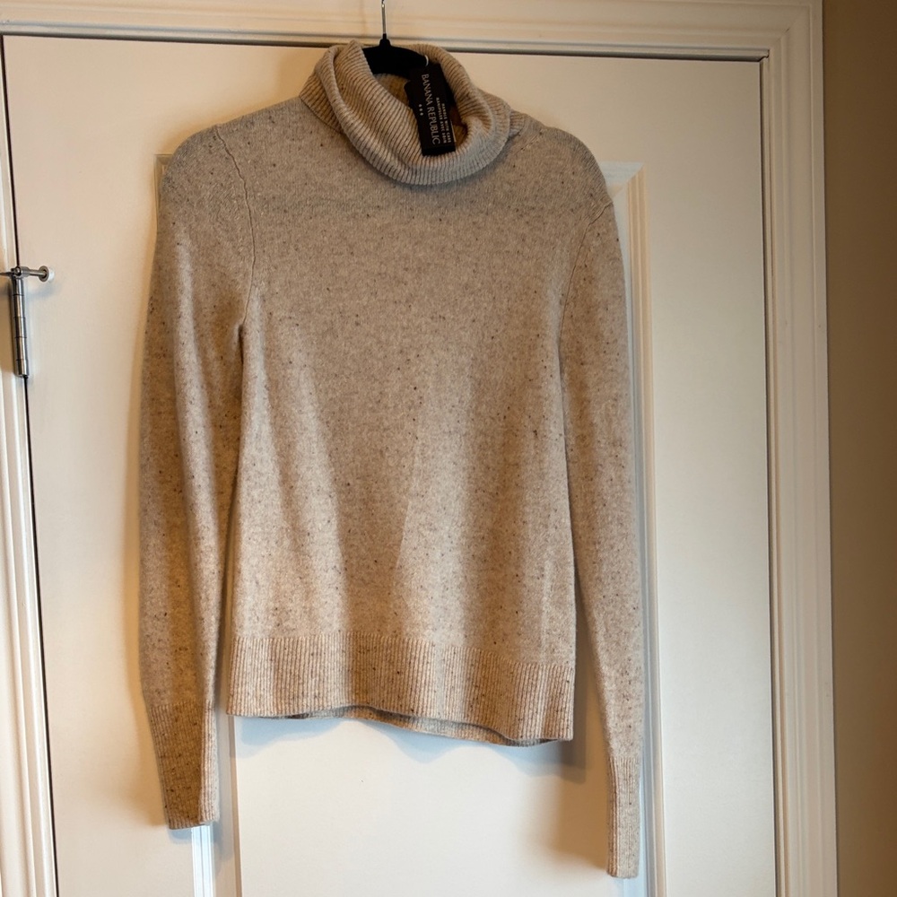 Banana Republic Oatmeal Turtleneck Sweater